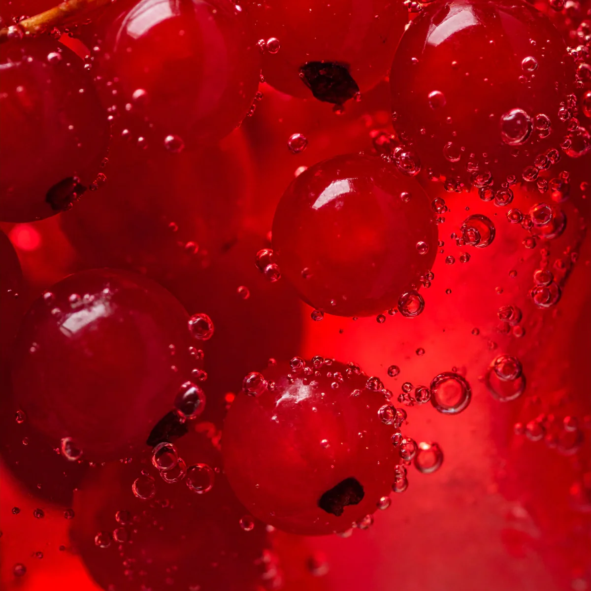Lip Drink Punch - Image 4